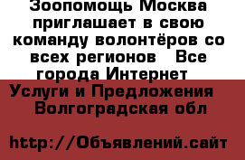 Зоопомощь.Москва приглашает в свою команду волонтёров со всех регионов - Все города Интернет » Услуги и Предложения   . Волгоградская обл.